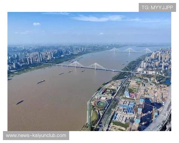 武汉三镇组织方式越来越立体 武汉三镇组织方式越来越立体